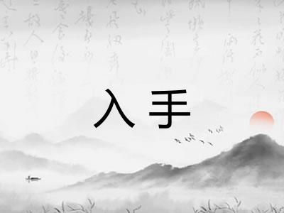 入手