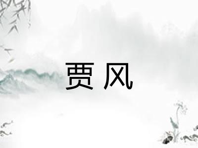 贾风