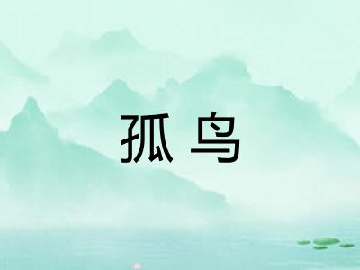 孤鸟