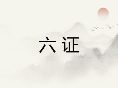 六证