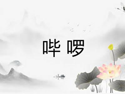 哔啰