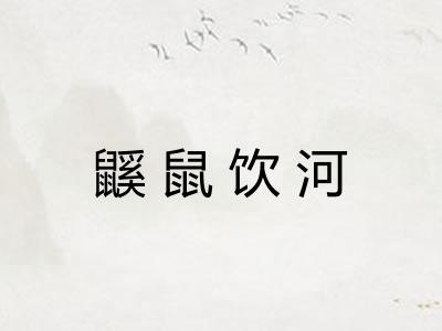 鼷鼠饮河