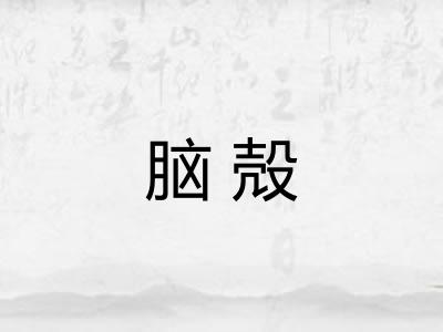 脑殻
