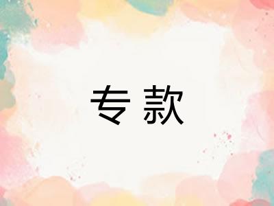 专款