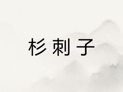 杉刺子