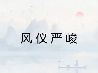 风仪严峻