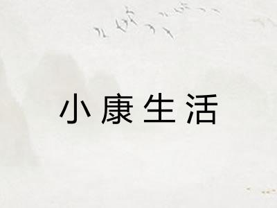 小康生活