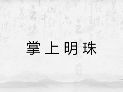 掌上明珠