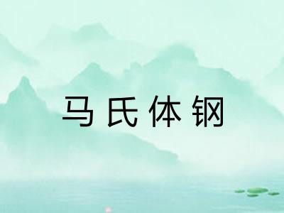 马氏体钢