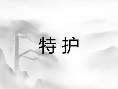 特护