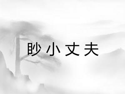 眇小丈夫