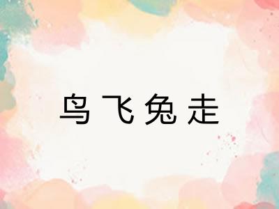 鸟飞兔走
