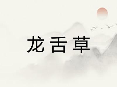 龙舌草