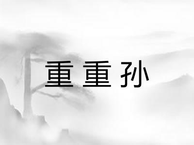 重重孙