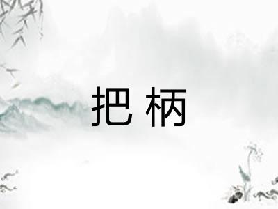 把柄