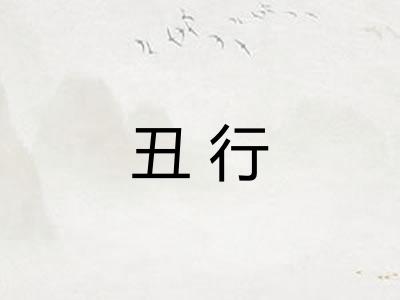 丑行
