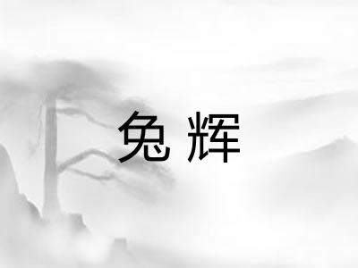 兔辉
