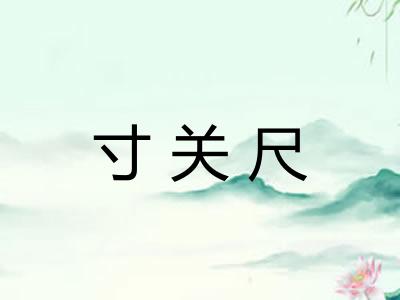 寸关尺
