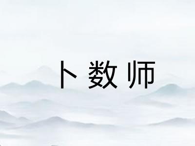 卜数师