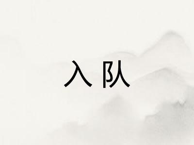 入队