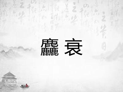 麤衰