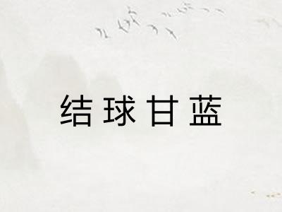 结球甘蓝