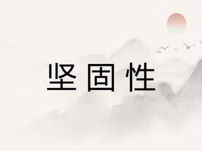 坚固性