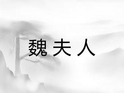 魏夫人