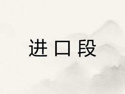 进口段