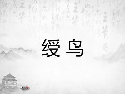 绶鸟