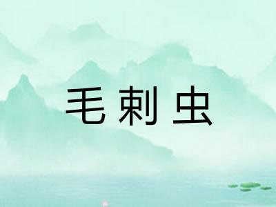 毛剌虫