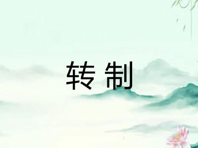 转制