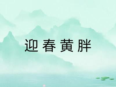 迎春黄胖