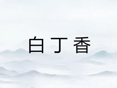白丁香
