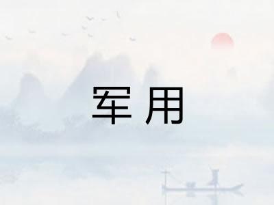 军用