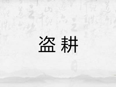 盗耕