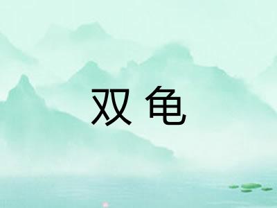 双龟