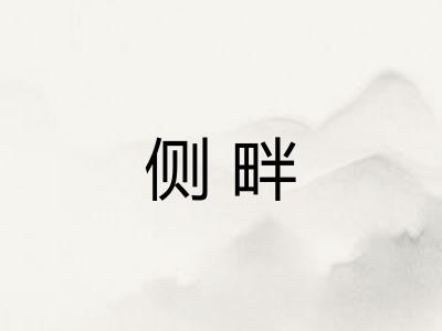 侧畔