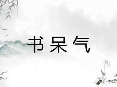 书呆气