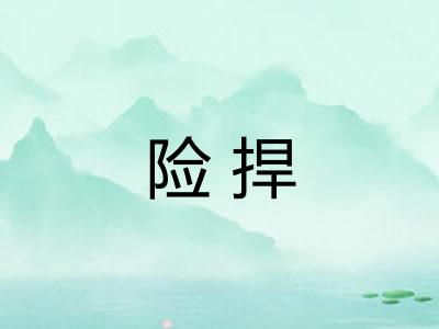 险捍