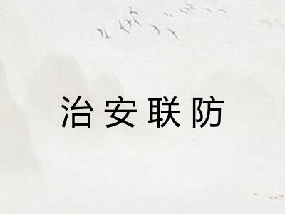治安联防