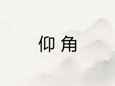 仰角