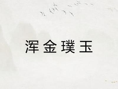 浑金璞玉