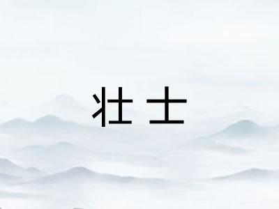 壮士