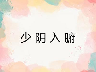 少阴入腑