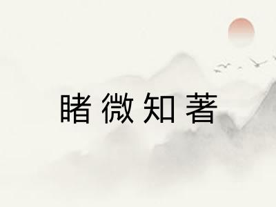 睹微知著