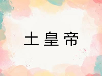 土皇帝
