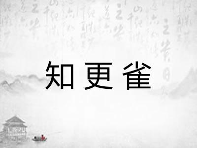 知更雀