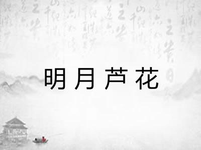 明月芦花