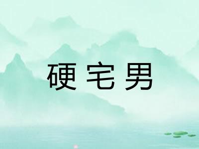 硬宅男